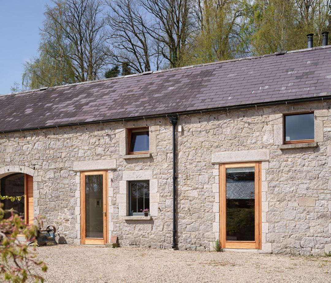 June Blake'S Garden Blessington Exterior photo