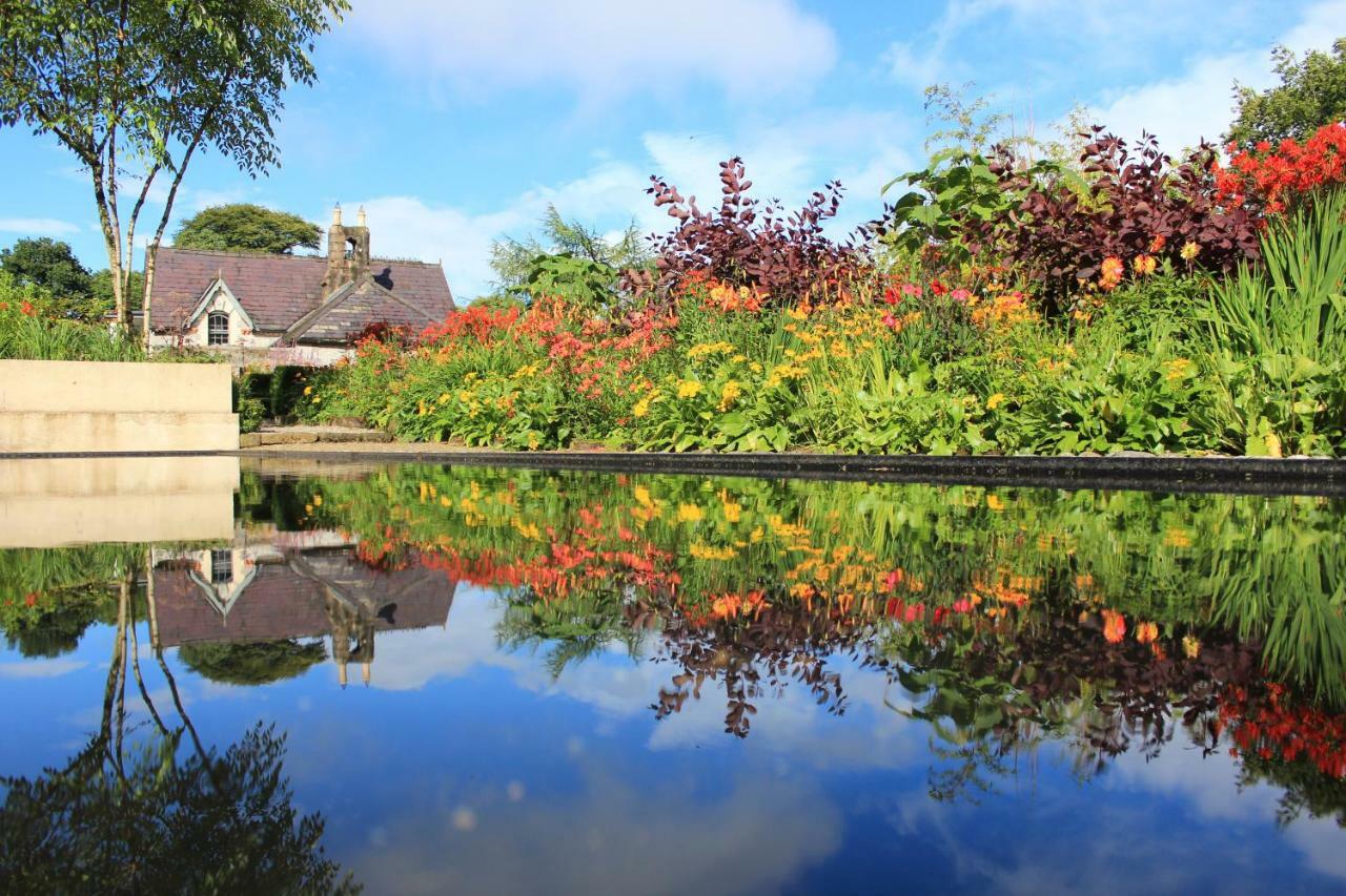 June Blake'S Garden Blessington Exterior photo