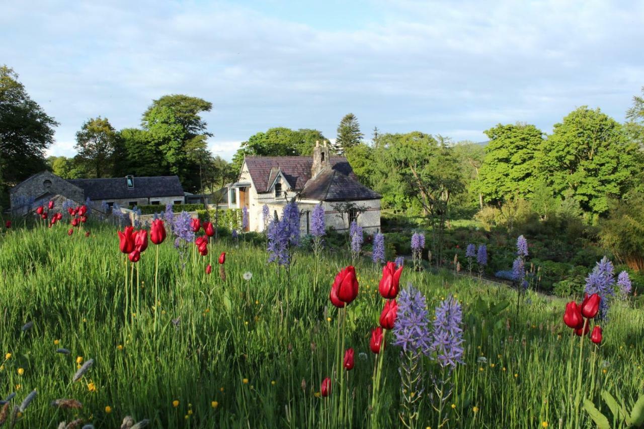 June Blake'S Garden Blessington Exterior photo